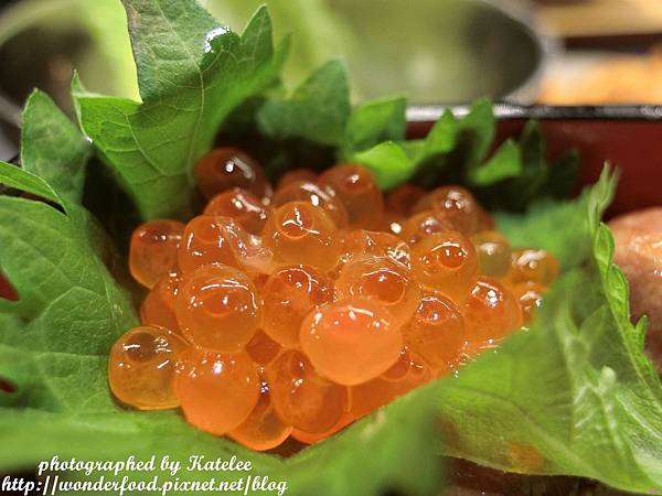 PhotoCap_264.jpg