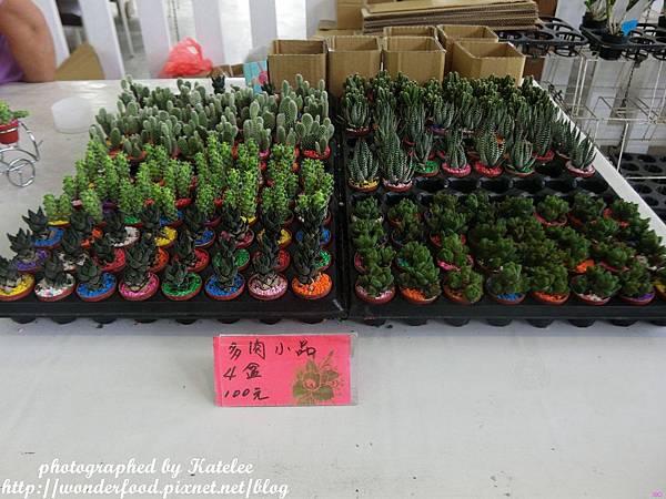 【香草菲菲】宜蘭員山的芳香植物博物館 ★ 寵物友善/天空步道/花園Buffet/太陽埤觀景台 【香草菲菲】宜蘭員山的芳香植物博物館 ★ 寵物友善/天空步道/花園Buffet/太陽埤觀景台