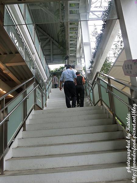 【香草菲菲】宜蘭員山的芳香植物博物館 ★ 寵物友善/天空步道/花園Buffet/太陽埤觀景台 【香草菲菲】宜蘭員山的芳香植物博物館 ★ 寵物友善/天空步道/花園Buffet/太陽埤觀景台