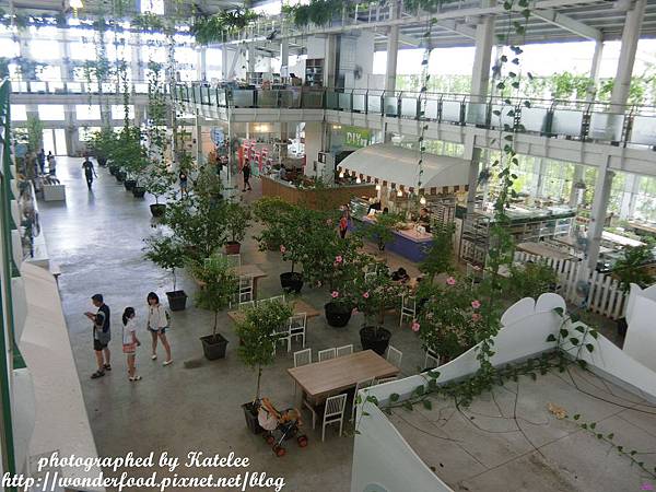 【香草菲菲】宜蘭員山的芳香植物博物館 ★ 寵物友善/天空步道/花園Buffet/太陽埤觀景台 【香草菲菲】宜蘭員山的芳香植物博物館 ★ 寵物友善/天空步道/花園Buffet/太陽埤觀景台