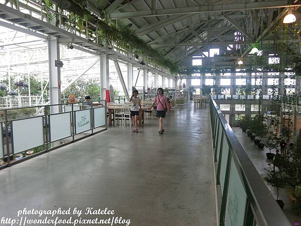 【香草菲菲】宜蘭員山的芳香植物博物館 ★ 寵物友善/天空步道/花園Buffet/太陽埤觀景台 【香草菲菲】宜蘭員山的芳香植物博物館 ★ 寵物友善/天空步道/花園Buffet/太陽埤觀景台