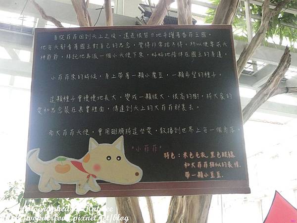 【香草菲菲】宜蘭員山的芳香植物博物館 ★ 寵物友善/天空步道/花園Buffet/太陽埤觀景台 【香草菲菲】宜蘭員山的芳香植物博物館 ★ 寵物友善/天空步道/花園Buffet/太陽埤觀景台