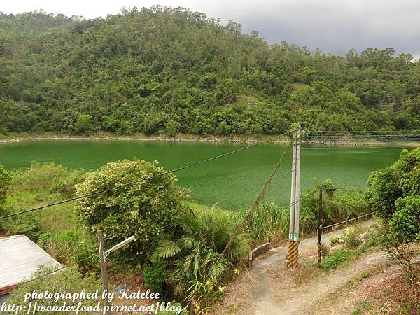 【香草菲菲】宜蘭員山的芳香植物博物館 ★ 寵物友善/天空步道/花園Buffet/太陽埤觀景台 【香草菲菲】宜蘭員山的芳香植物博物館 ★ 寵物友善/天空步道/花園Buffet/太陽埤觀景台