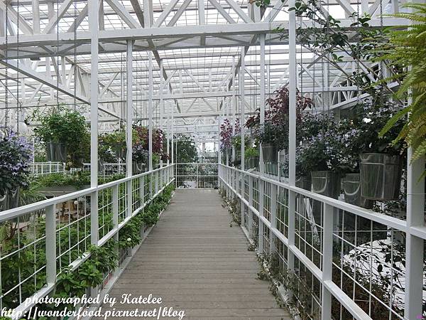 【香草菲菲】宜蘭員山的芳香植物博物館 ★ 寵物友善/天空步道/花園Buffet/太陽埤觀景台 【香草菲菲】宜蘭員山的芳香植物博物館 ★ 寵物友善/天空步道/花園Buffet/太陽埤觀景台