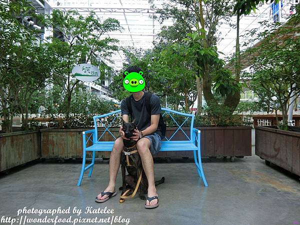 【香草菲菲】宜蘭員山的芳香植物博物館 ★ 寵物友善/天空步道/花園Buffet/太陽埤觀景台 【香草菲菲】宜蘭員山的芳香植物博物館 ★ 寵物友善/天空步道/花園Buffet/太陽埤觀景台