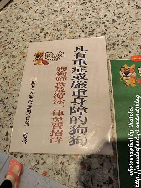 【狗老大寵物渡假會館】桃園寵物餐廳 ★ 寵物餐點/寵物游泳池(尚在整修中)/大片草坪/專業攝影 【狗老大寵物渡假會館】桃園寵物餐廳 ★ 寵物餐點/寵物游泳池(尚在整修中)/大片草坪/專業攝影
