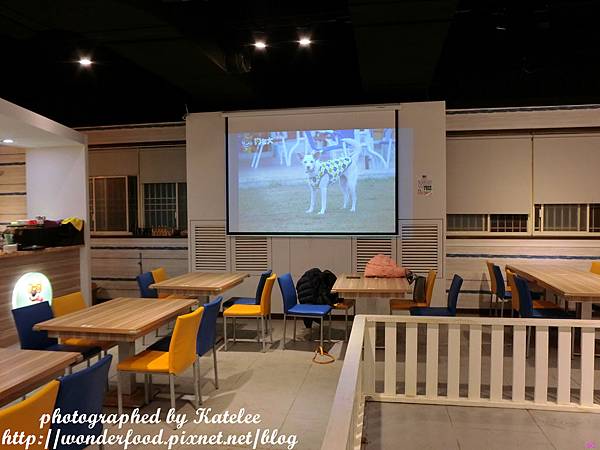 【狗老大寵物渡假會館】桃園寵物餐廳 ★ 寵物餐點/寵物游泳池(尚在整修中)/大片草坪/專業攝影 【狗老大寵物渡假會館】桃園寵物餐廳 ★ 寵物餐點/寵物游泳池(尚在整修中)/大片草坪/專業攝影