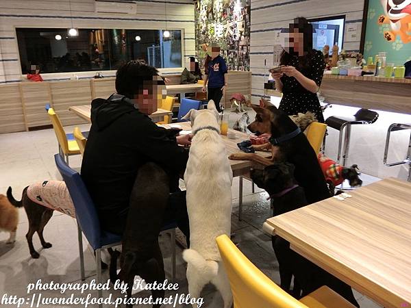 【狗老大寵物渡假會館】桃園寵物餐廳 ★ 寵物餐點/寵物游泳池(尚在整修中)/大片草坪/專業攝影 【狗老大寵物渡假會館】桃園寵物餐廳 ★ 寵物餐點/寵物游泳池(尚在整修中)/大片草坪/專業攝影