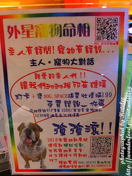 【DOG SPACE寵物空間】宜蘭礁溪寵物友善咖啡館 ★ 美容/洗澡/住宿/寵物餐/寵物算命