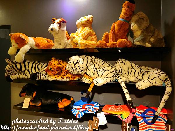 【DOG SPACE寵物空間】宜蘭礁溪寵物友善咖啡館 ★ 美容/洗澡/住宿/寵物餐/寵物算命