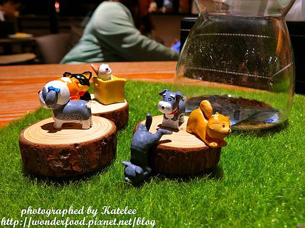 【DOG SPACE寵物空間】宜蘭礁溪寵物友善咖啡館 ★ 美容/洗澡/住宿/寵物餐/寵物算命