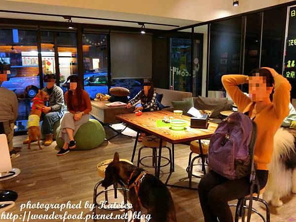 【DOG SPACE寵物空間】宜蘭礁溪寵物友善咖啡館 ★ 美容/洗澡/住宿/寵物餐/寵物算命