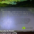 PhotoCap_048.jpg