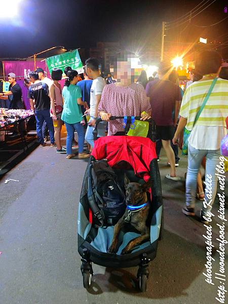 圖 台南 花園夜市 七佳蚵仔煎牛肉湯