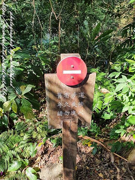 圖 新店碧潭 和美山步道(碧潭幸福樂園遺址)