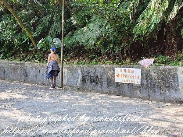 圖 宜蘭礁溪 聖母登山步道(抹茶冰淇淋山)