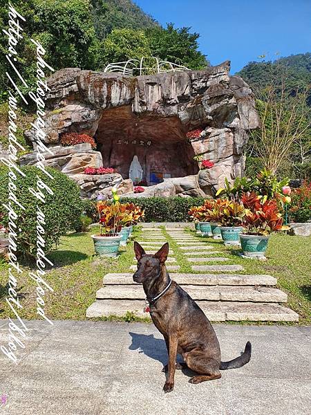 圖 宜蘭礁溪 聖母登山步道(抹茶冰淇淋山)