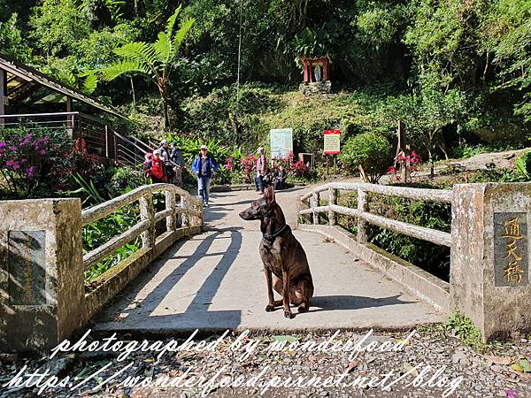 圖 宜蘭礁溪 聖母登山步道(抹茶冰淇淋山)