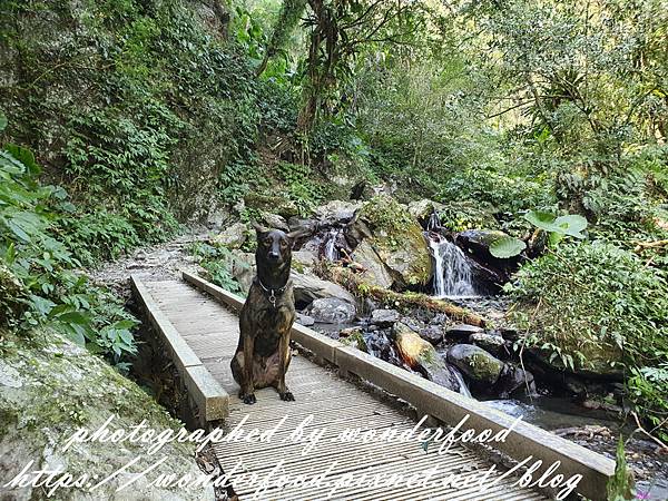 圖 宜蘭礁溪 聖母登山步道(抹茶冰淇淋山)