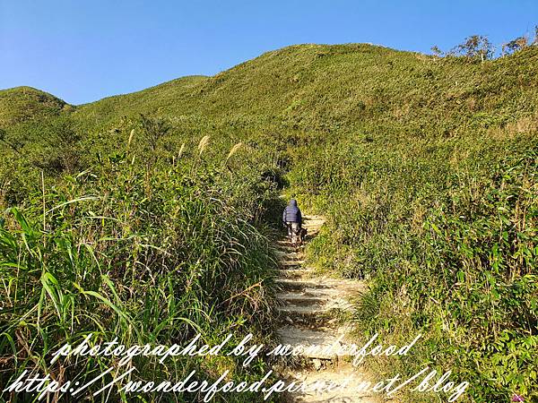 圖 宜蘭礁溪 聖母登山步道(抹茶冰淇淋山)