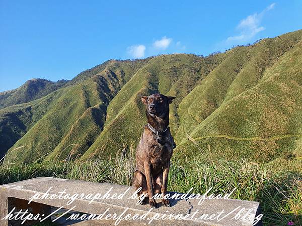 圖 宜蘭礁溪 聖母登山步道(抹茶冰淇淋山)