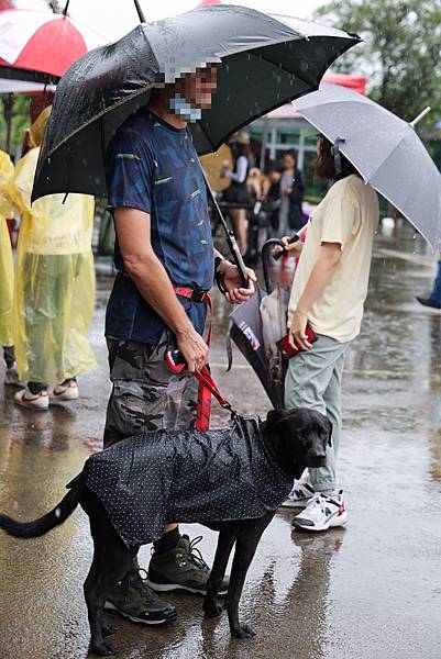 下雨2-1.jpg