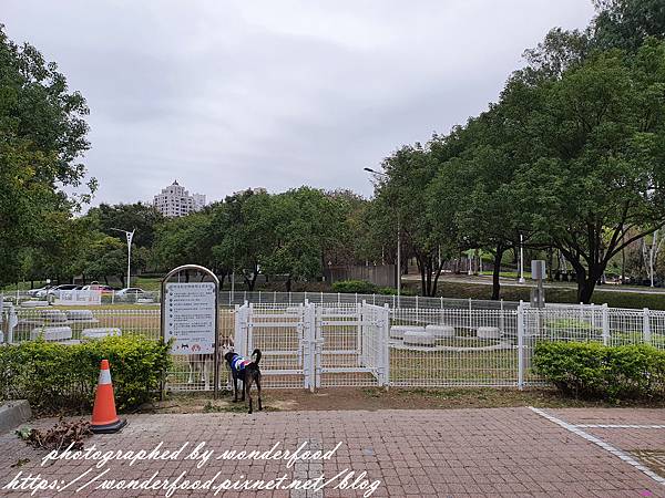 [遊記] 台中第二座狗公園 文心森林公園狗活動區