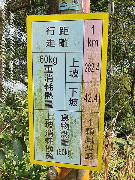 圖 宜蘭礁溪爬山 五小時的跑馬古道