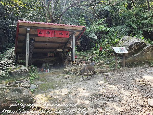 圖 宜蘭礁溪爬山 五小時的跑馬古道