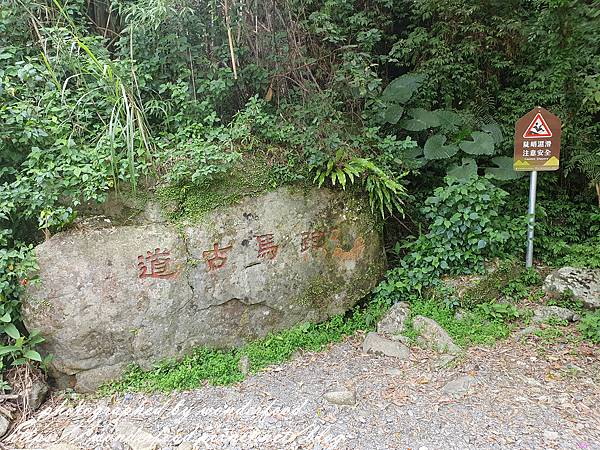 圖 宜蘭礁溪爬山 五小時的跑馬古道