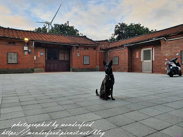 圖 桃園觀音大園 草漯沙丘地質公園