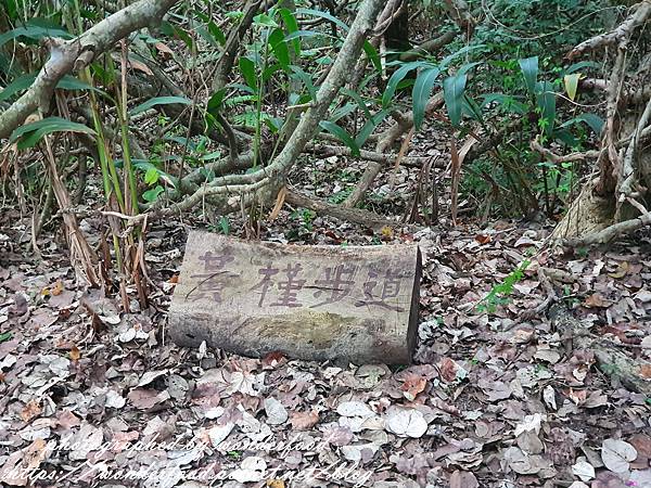 圖 桃園觀音大園 草漯沙丘地質公園