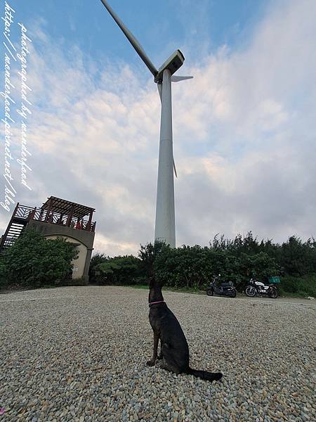 圖 桃園觀音大園 草漯沙丘地質公園