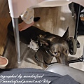 PhotoCap_121-1.jpg