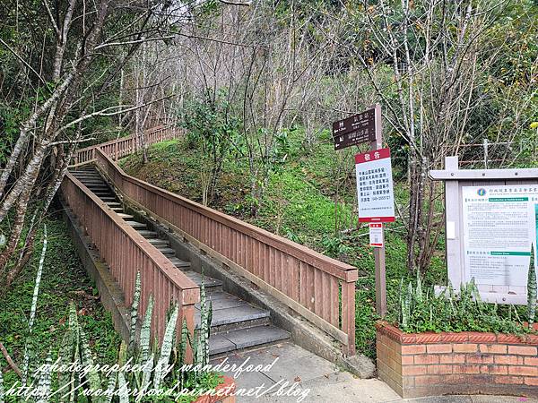 【貓囒山步道】日月潭景點 ★ 親民小百岳/半小時登頂/絕美紅