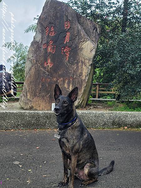 【貓囒山步道】日月潭景點 ★ 親民小百岳/半小時登頂/絕美紅