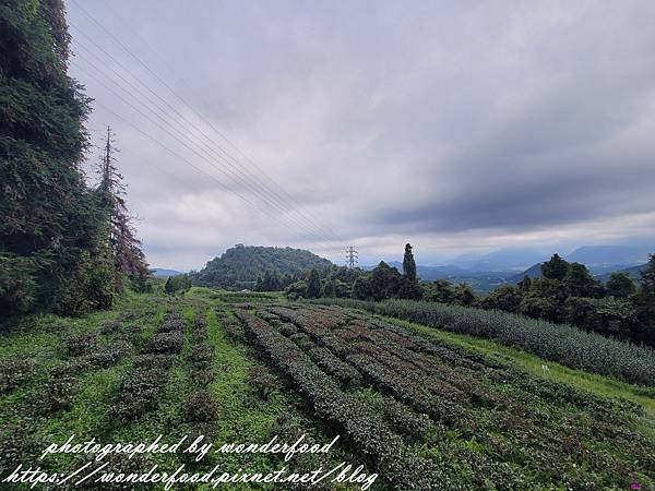 【貓囒山步道】日月潭景點 ★ 親民小百岳/半小時登頂/絕美紅