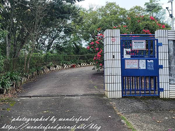 【貓囒山步道】日月潭景點 ★ 親民小百岳/半小時登頂/絕美紅