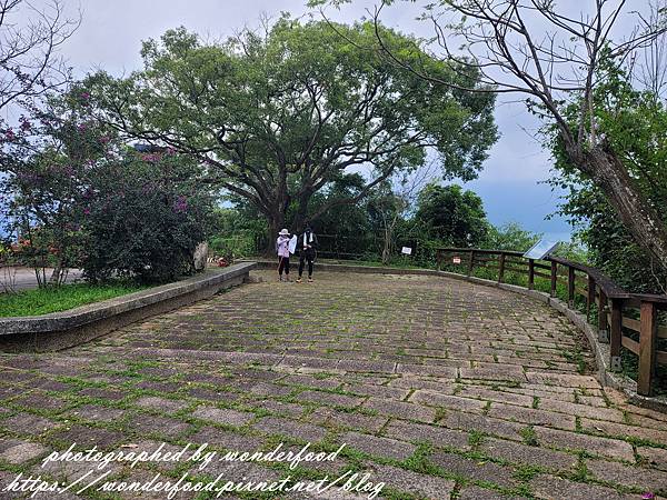 【貓囒山步道】日月潭景點 ★ 親民小百岳/半小時登頂/絕美紅