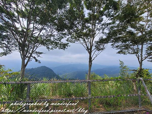 【貓囒山步道】日月潭景點 ★ 親民小百岳/半小時登頂/絕美紅