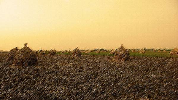 P1170647 P1170647