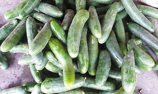 P1150971 P1150971