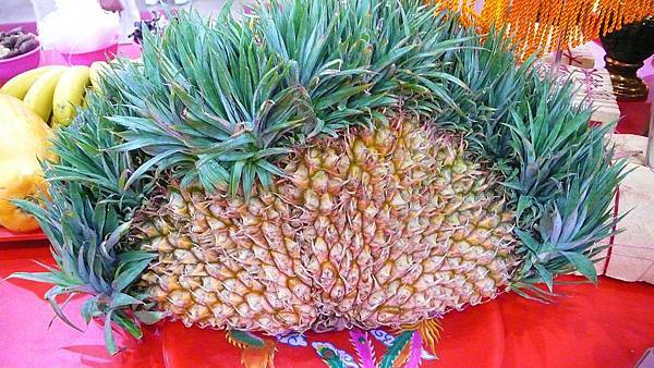 P1150187 P1150187