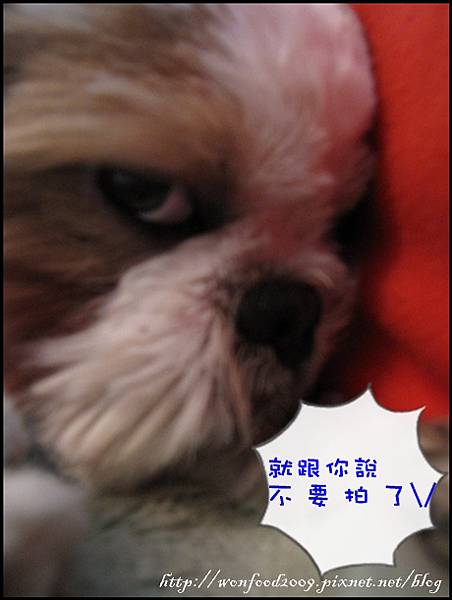 瞪.jpg
