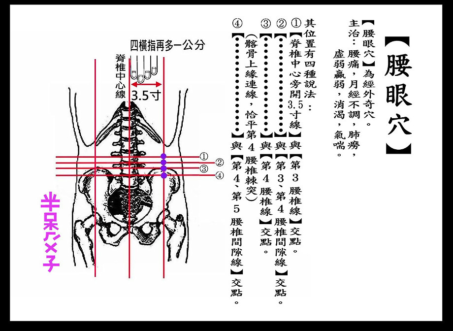 腰眼穴