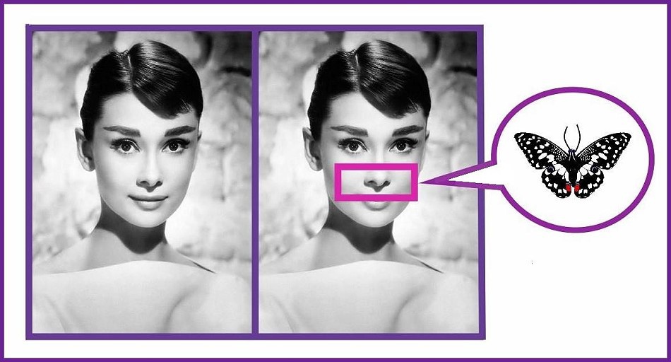 蝴蝶光图示(图源网络)