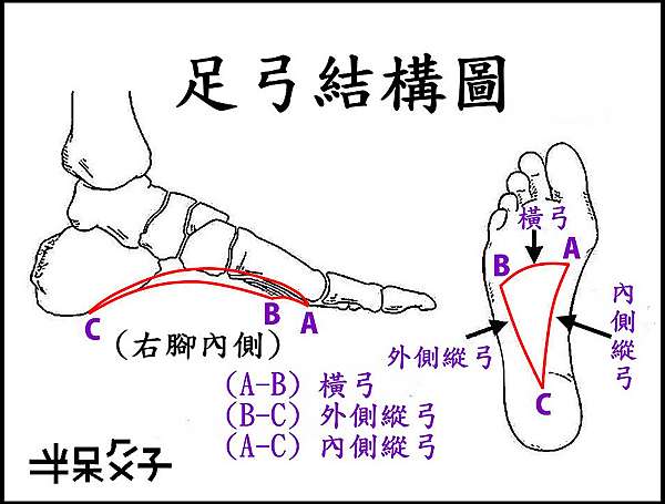 以身體部位劃分 18 腳面 穴位 老玩童玩老童玩 痞客邦