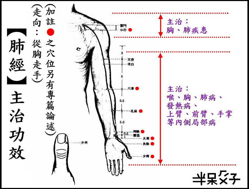 ●1肺經.jpg ●1肺經.jpg
