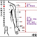 ●1肺經.jpg
