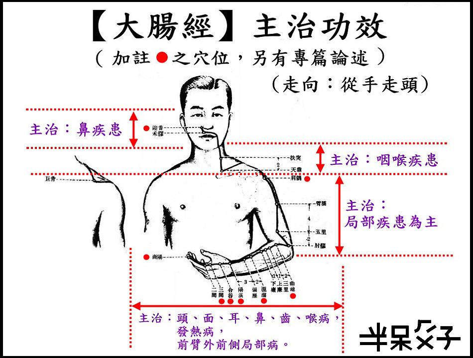 ●2大腸經.jpg ●2大腸經.jpg